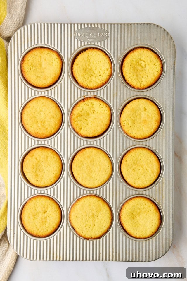 Overhead view of a dozen freshly baked, golden-brown lemon cupcakes still in a muffin pan, just removed from the oven.