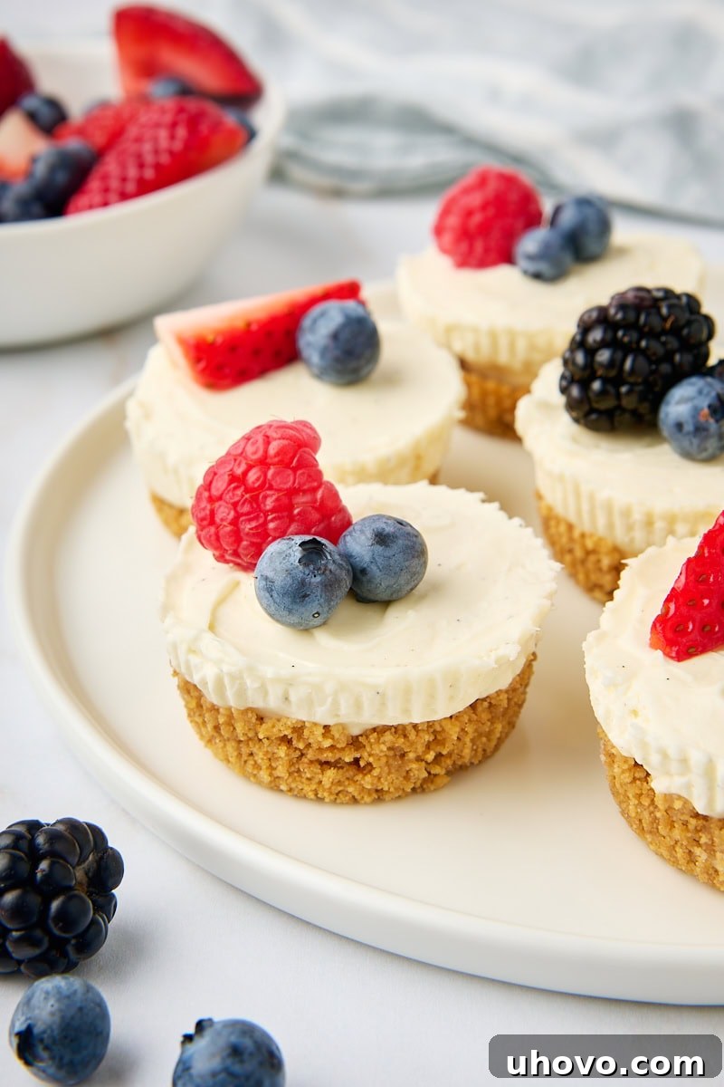 Several mini no-bake cheesecakes topped with vibrant fresh berries, elegantly served on a white plate with a bowl of additional berries visible in the background, creating a refreshing and inviting scene.