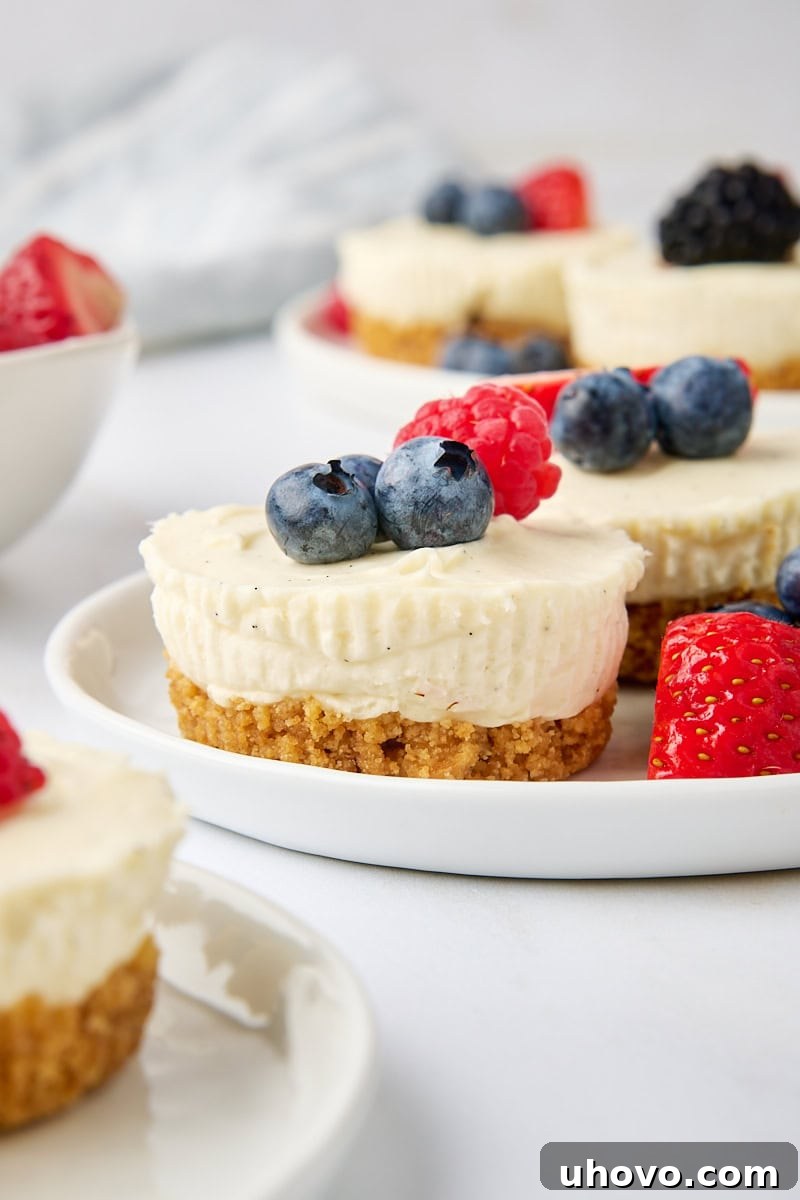 Two exquisite mini no-bake cheesecakes presented on a pristine white plate, surrounded by an abundance of additional cheesecakes and fresh, colorful berries, creating an alluring dessert spread.