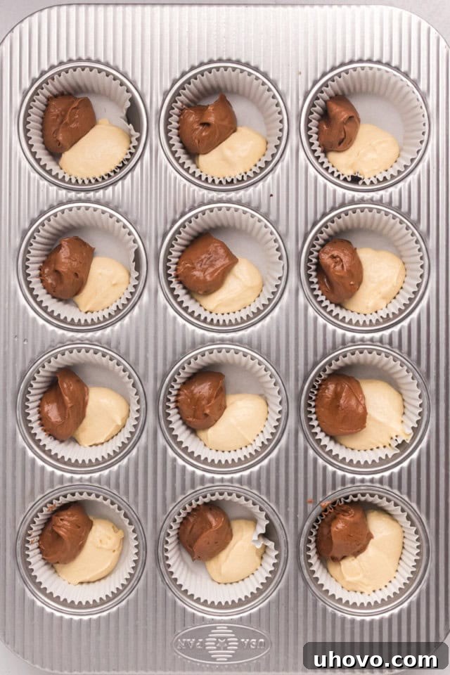 An overhead view showing alternating scoops of chocolate and vanilla cupcake batters being carefully added into lined muffin cups, preparing them for the signature marble effect.