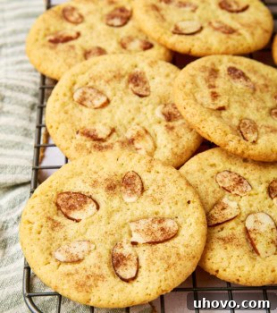 sand dollar cookies on a wire rack