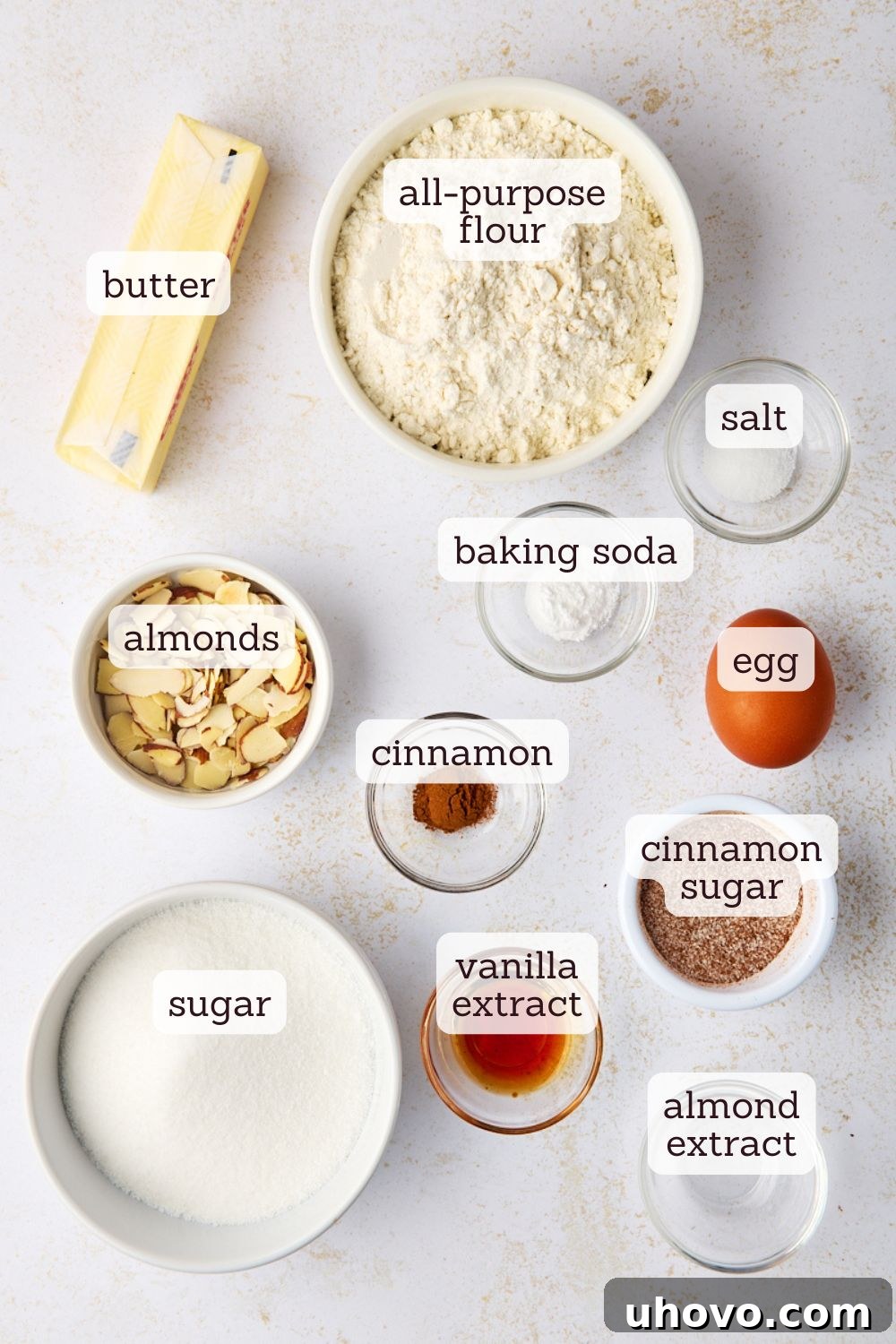 overhead view of ingredients for sand dollar cookies