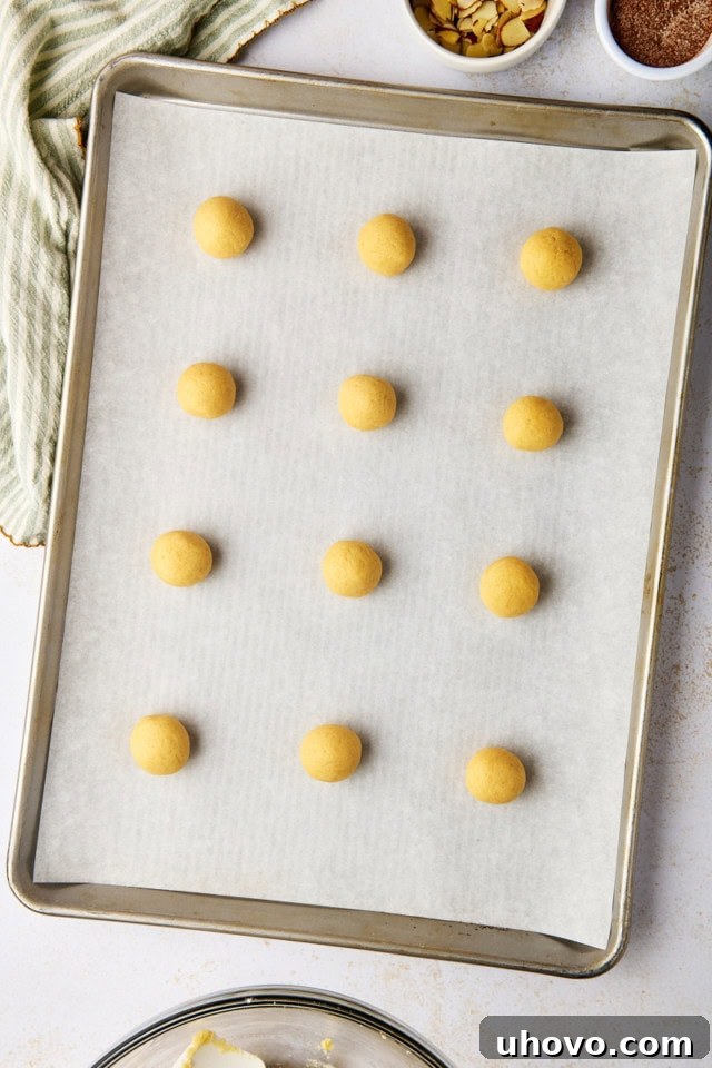 overhead view of scooped sand dollar cookie dough on a lined baking sheet