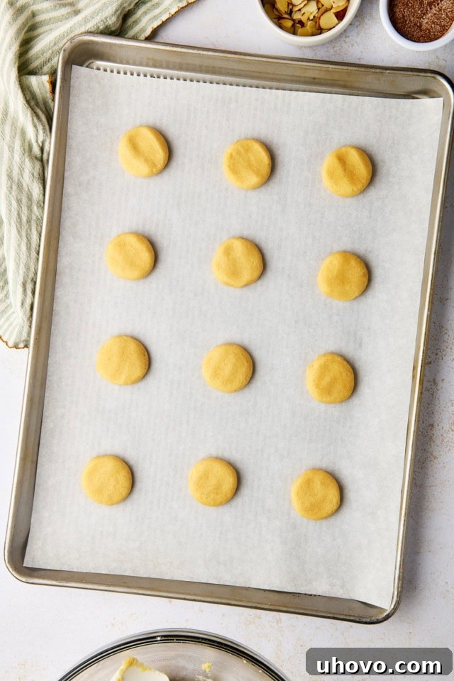 overhead view of flattened sand dollar cookies on a lined baking sheet