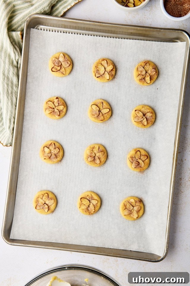 overhead view of sand dollar cookie dough topped with sliced almonds and cinnamon-sugar on a lined baking sheet ready to go into the oven