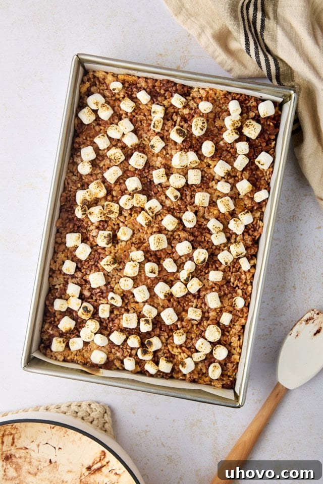 overhead view of s'mores rice crispy treats with mini marshmallows toasted on top