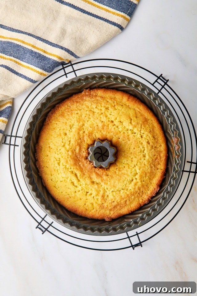 An overhead view of a freshly baked, golden-brown cornmeal pound cake still in its Bundt pan, cooling on a wire rack, steam gently rising.