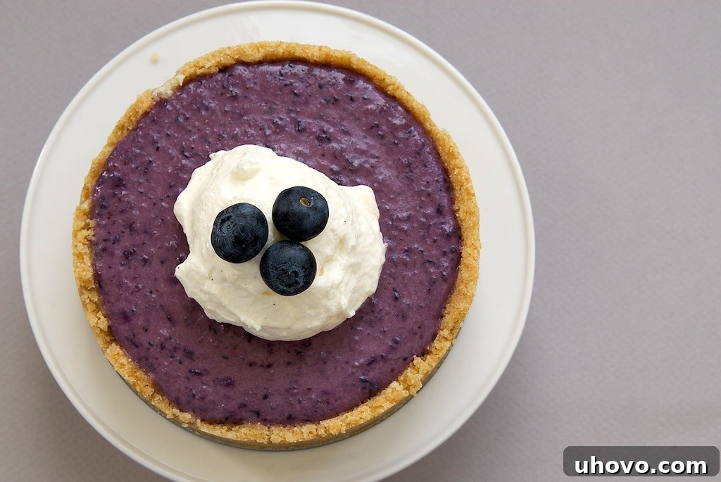 A vibrant No-Bake Blueberry Cheesecake with a golden cookie crust and a creamy berry filling, garnished with fresh blueberries and whipped cream, sits on a rustic wooden surface – the perfect refreshing summer dessert.