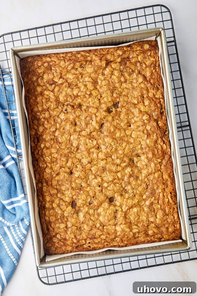Freshly baked oatmeal cookie bars, golden brown around the edges, cooling in a 9x13 inch pan on a wire rack.