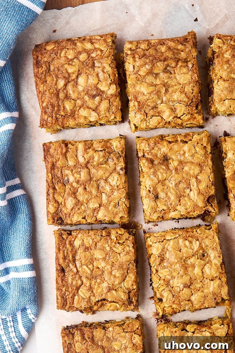 An overhead shot of freshly baked oatmeal cookie bars, neatly sliced into squares and arranged on parchment paper.