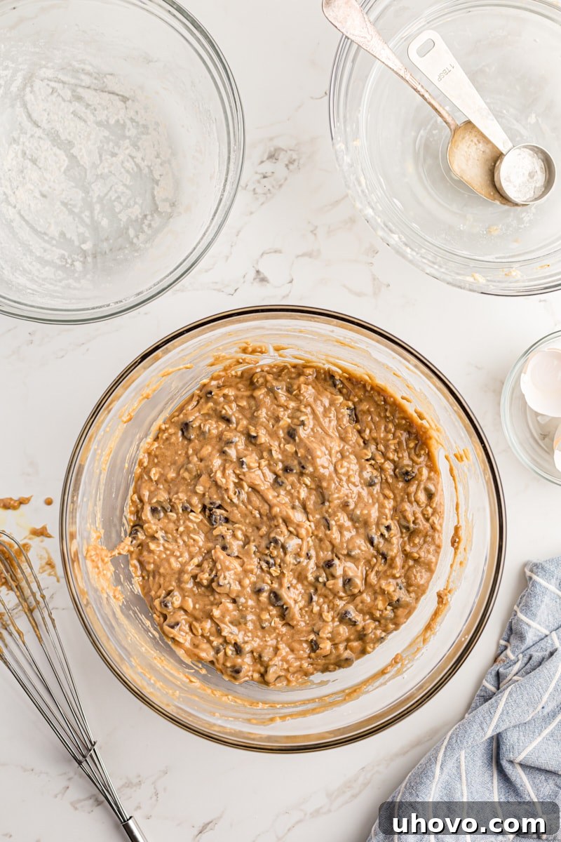Overhead view of the fully mixed oatmeal chocolate chip cake batter in a large mixing bowl, ready for baking.