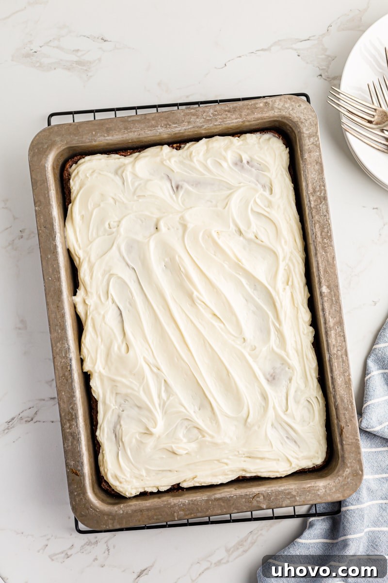 Overhead view of a whole Oatmeal Chocolate Chip Cake in its pan, cooling on a wire rack.