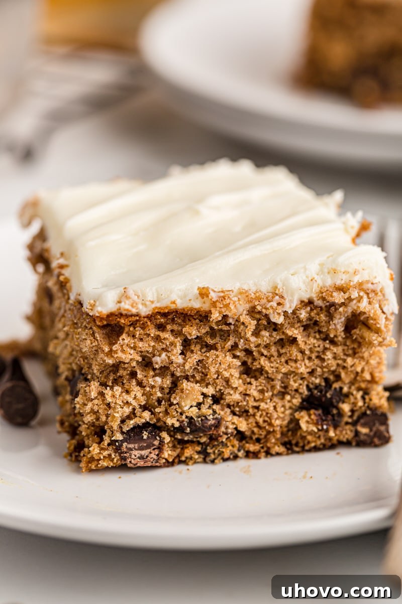 A neatly cut square of Oatmeal Chocolate Chip Cake on a white plate, showcasing its moist texture, visible oats, and chocolate chips.