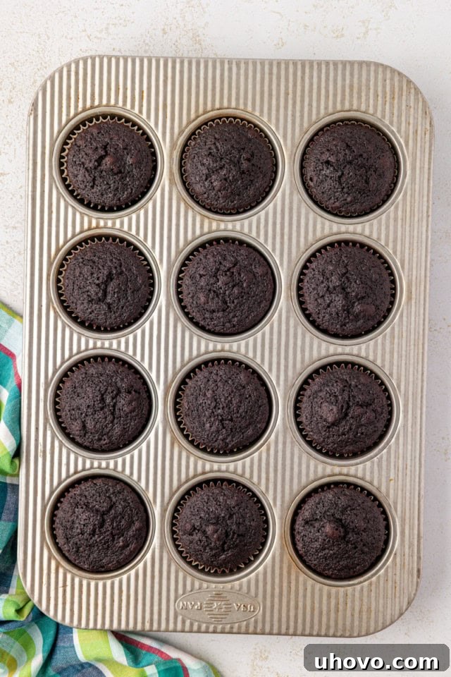 overhead view of freshly baked s'mores cupcake in a muffin pan