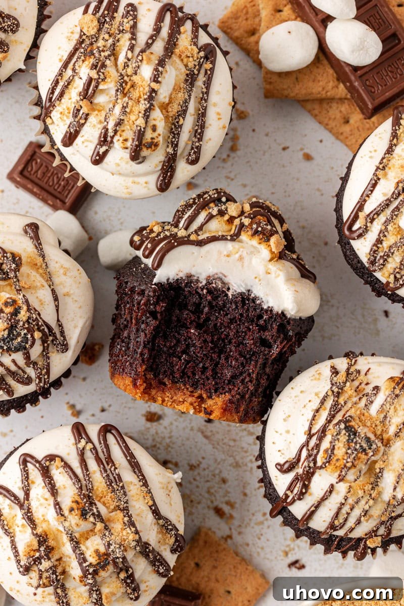 overhead view of a s'mores cupcake turned on its side with a bite missing surrounded by more cupcakes