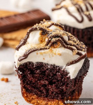 A s'mores cupcake with a bite missing, surrounded by other s'mores elements