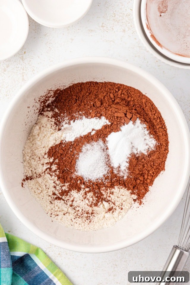 overhead view of flour, cocoa powder, baking soda, baking powder, and salt in a white mixing bowl