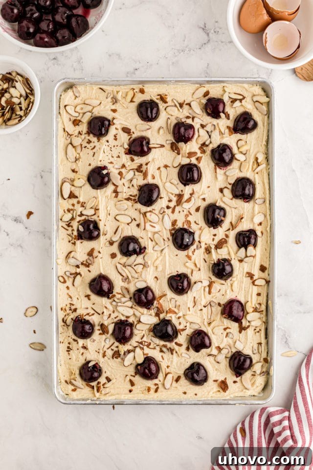 A pristine overhead shot of the assembled cherry almond sheet cake in its baking pan, with fresh cherries and sliced almonds artfully scattered over the batter, just before it enters the oven.