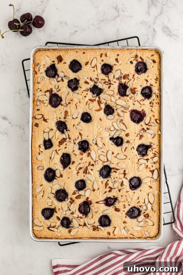The freshly baked cherry almond sheet cake, golden and fragrant, resting in its pan on a wire rack, symbolizing the crucial cooling phase after emerging from the oven.