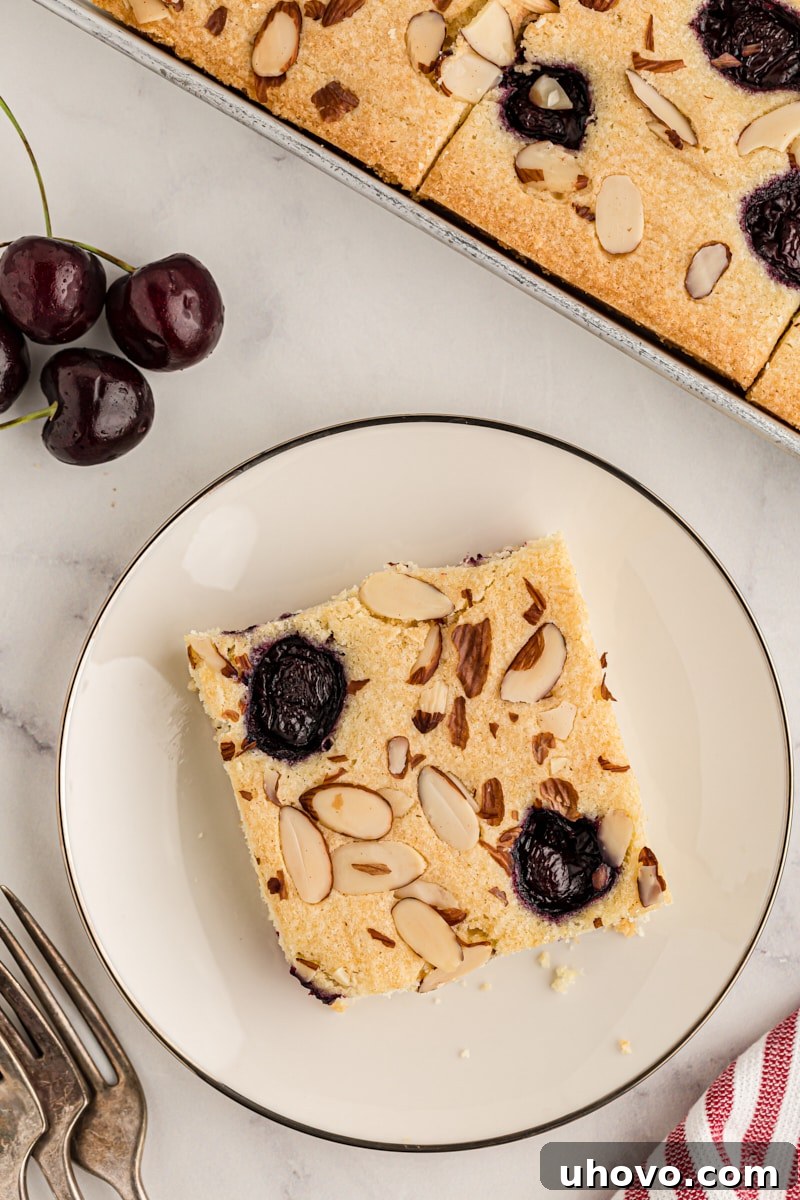 A captivating split view of the cherry almond sheet cake: one part elegantly presented on a white plate, and the other still in its baking pan, both adorned with fresh cherries and powdered sugar.