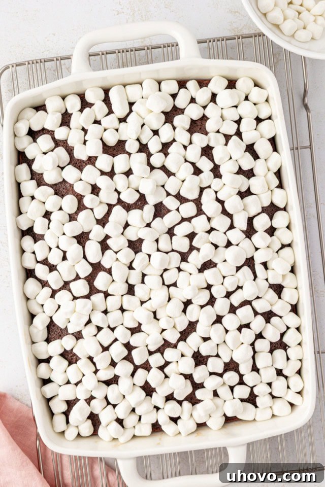 A generous scattering of fluffy mini marshmallows blankets the warm, freshly baked chocolate cake, promising a gooey layer.