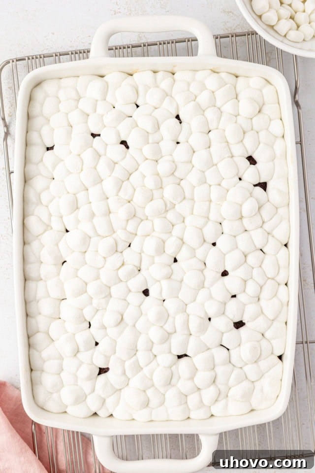 The mini marshmallows, now perfectly puffed and melted, form a sweet, sticky layer over the chocolate cake after a brief return to the oven.