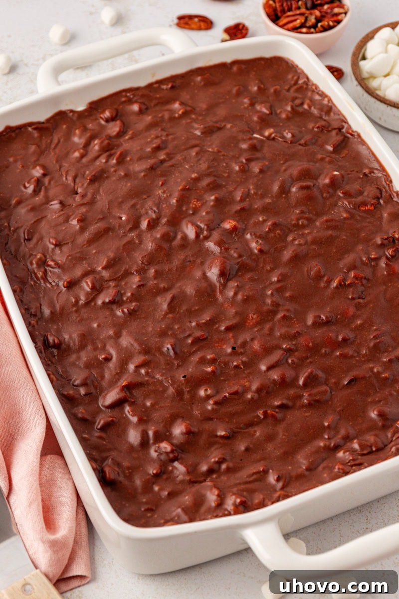 A pristine, full 9x13 inch pan of Mississippi mud cake, boasting its distinct layers of chocolate cake, melted marshmallows, and fudgy frosting, ready to be sliced and served.