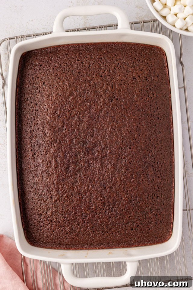A freshly baked, deep chocolate cake sits golden and fragrant in its white baking pan, having just emerged from the oven.