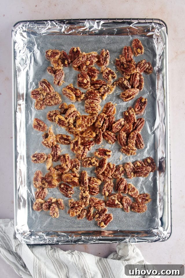 A baking sheet filled with freshly toasted, golden brown Glazed Pecans, cooling and becoming perfectly crisp.