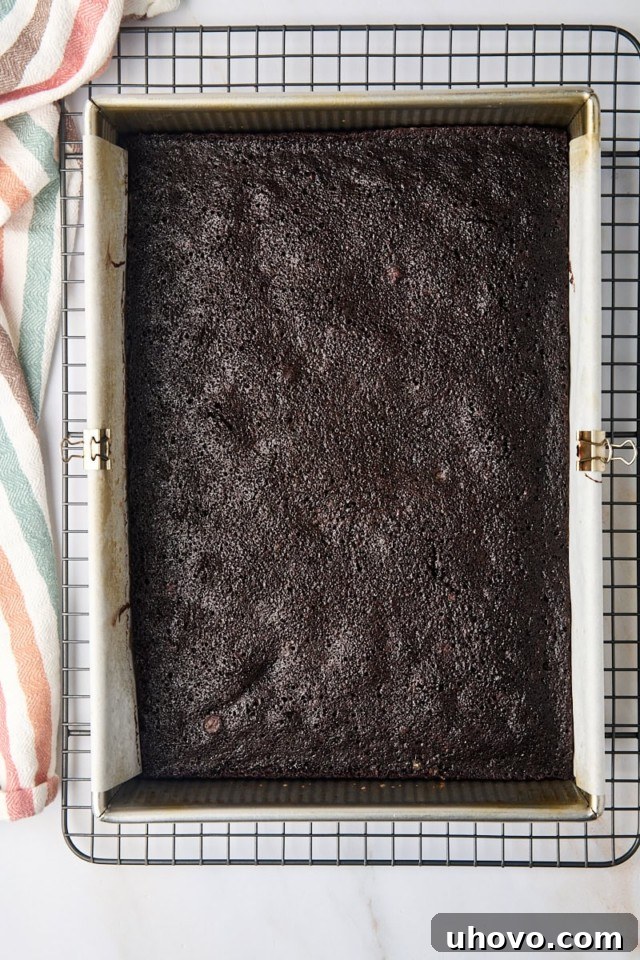 overhead view of freshly baked brownies in a 9x13 pan set on a wire rack