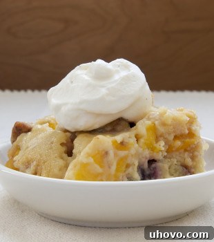 Blackberry Peach Cobbler served in a shallow white bowl