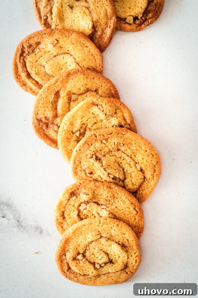 Line of golden-brown cinnamon roll cookies on a marble slab, showcasing their beautiful spiral pattern.