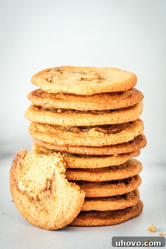 Stack of golden-brown cinnamon roll cookies with one leaning against them, showing two bites taken out, highlighting the soft interior and crispy edges.