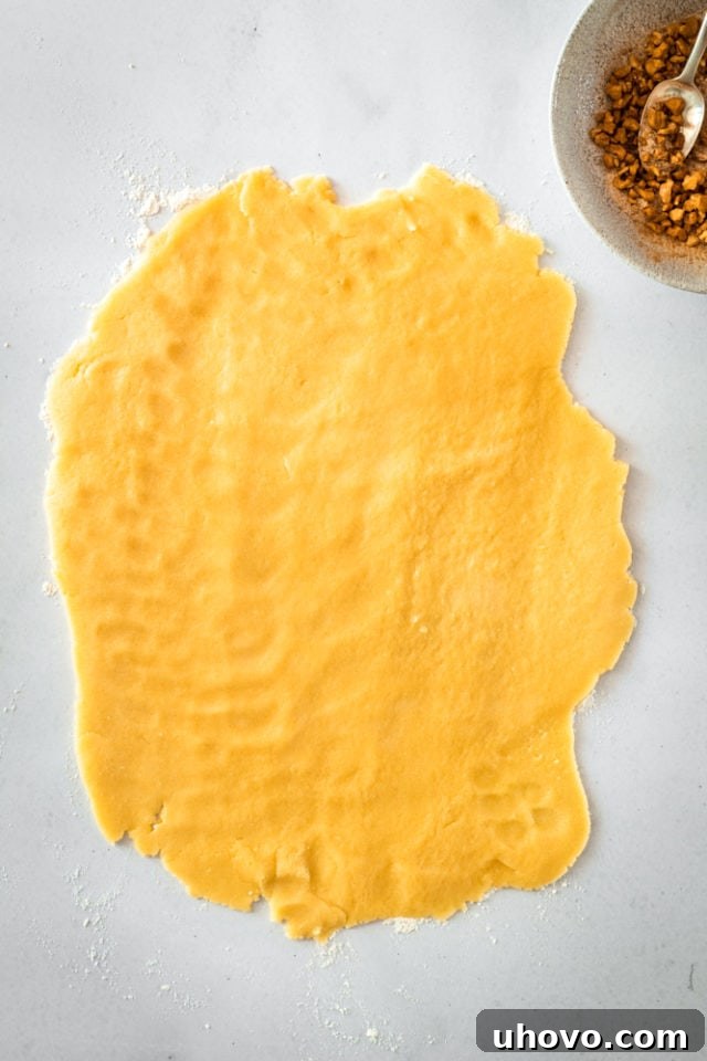 Rolled out sugar cookie dough forming a neat rectangle on a lightly floured surface.