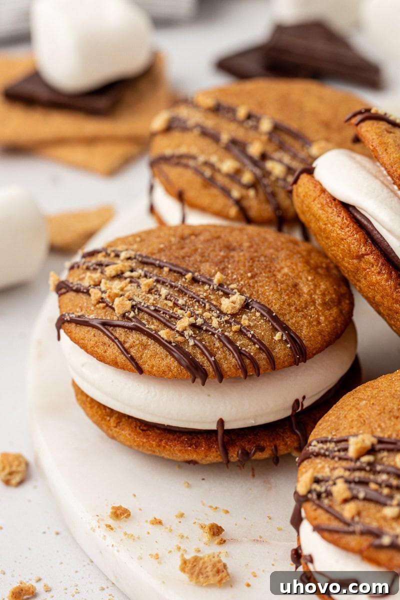 s'mores whoopie pies topped with a drizzle of chocolate and graham cracker crumbs on a white plate