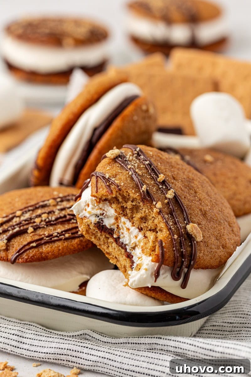 s'mores whoopie pies in a black-rimmed white tray with a bite missing from the front whoopie pie