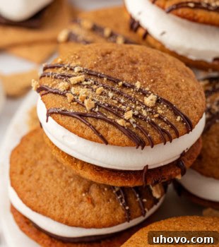 s'mores whoopie pies in a stacked pile on a white plate