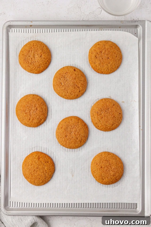 overhead view of freshly baked graham cakes on a parchment-lined baking sheet