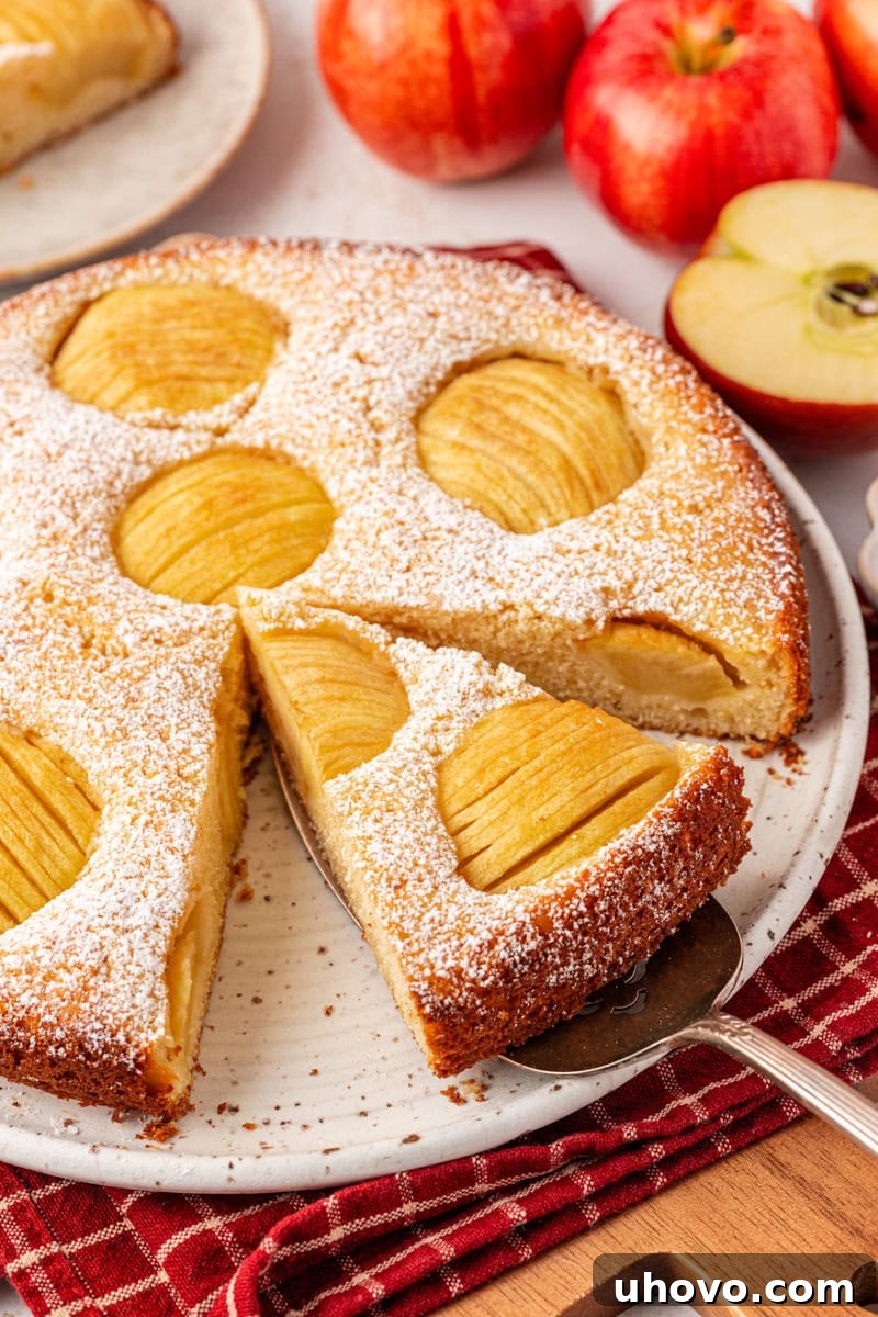 A beautifully presented slice of traditional German apple cake on a cake server, resting on a cake plate alongside the remaining whole cake, showcasing the delicate fanned apple topping and soft, moist crumb. This easy Apfelkuchen recipe is perfect for any occasion.