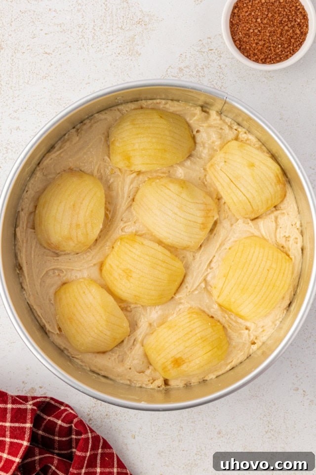 Overhead view of German apple cake batter meticulously topped with elegantly arranged sliced apple quarters in a springform pan, creating a beautiful pattern, ready for baking.