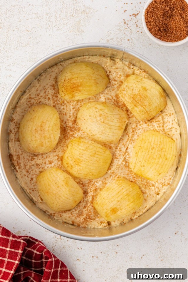 Overhead view of German apple cake batter in a springform pan with fanned apples, lightly sprinkled with turbinado sugar, poised and ready to go into the oven for baking.