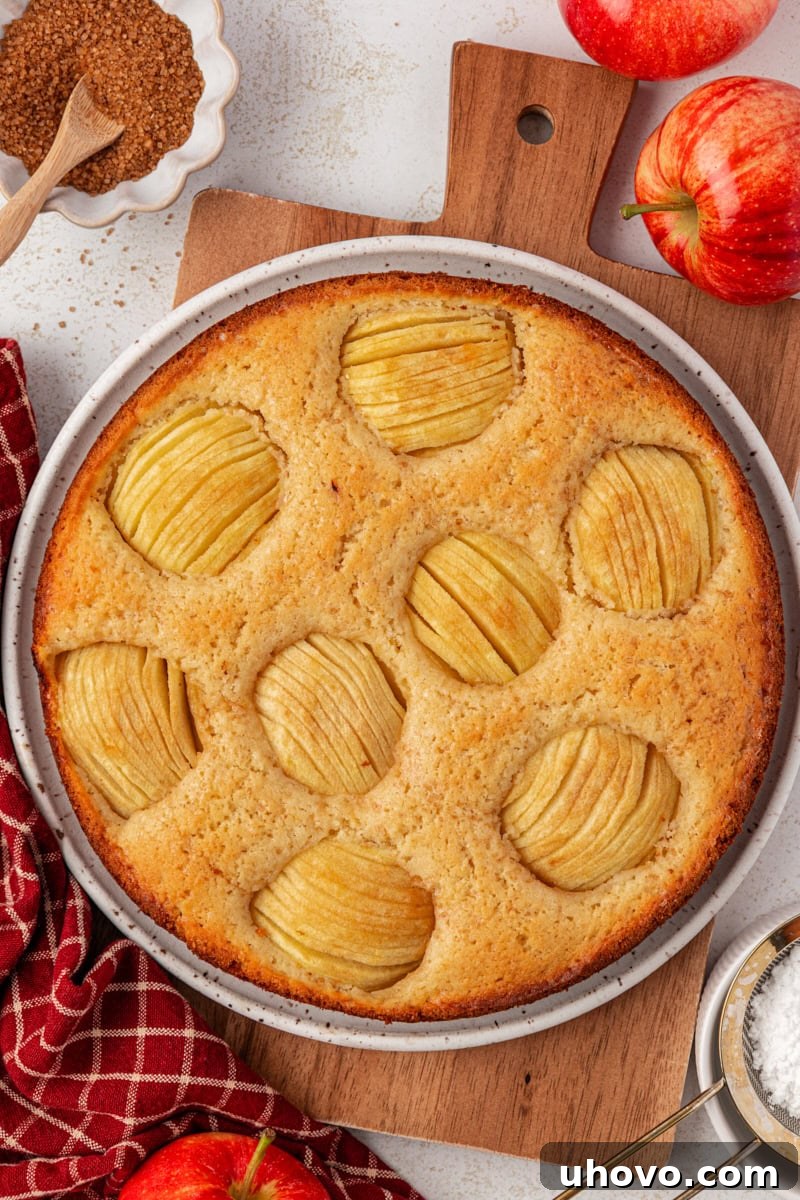 Overhead view of a freshly baked German apple cake in a springform pan, beautifully adorned with golden fanned apples and a hint of turbinado sugar, set invitingly on a wooden board.