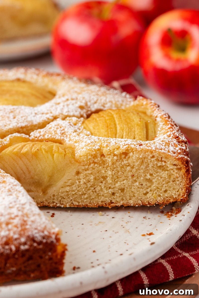 Close-up of a perfectly sliced German apple cake on a white cake plate, showcasing the delicate, moist crumb, beautifully fanned apples, and a light dusting of powdered sugar, with fresh apples blurred in the background, creating an inviting scene.