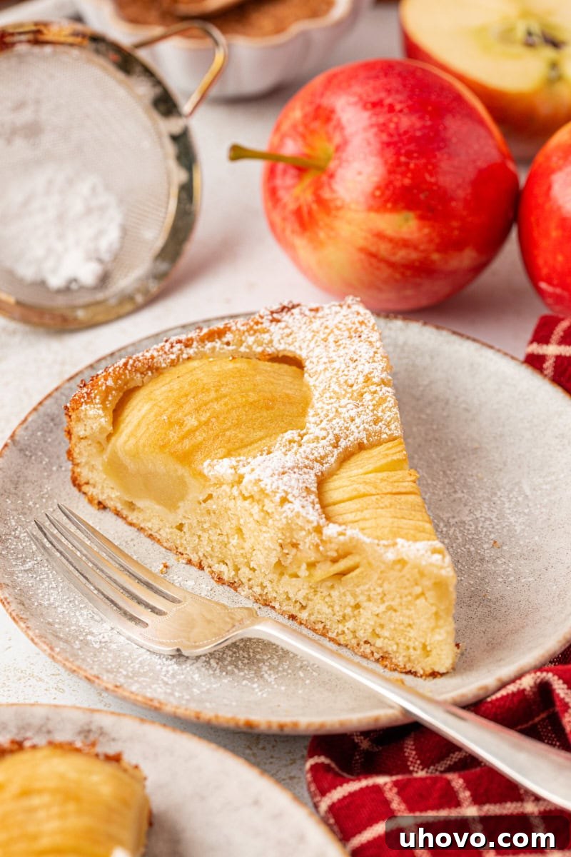 A delightful slice of German apple cake on a white plate with fresh apples blurred in the background, showcasing the moist crumb, beautifully fanned apple topping, and a light dusting of powdered sugar.