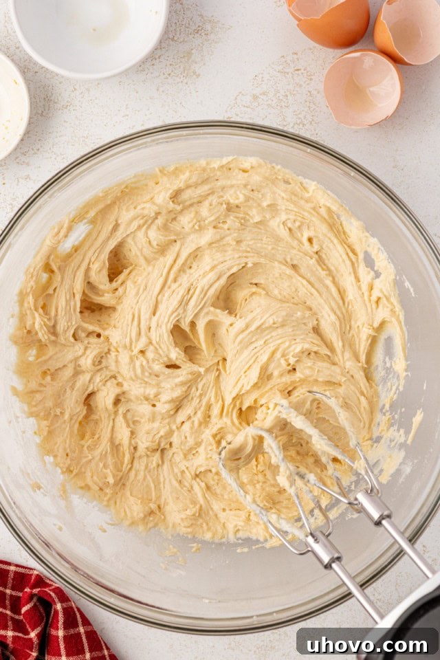 German apple cake batter in a glass mixing bowl after all ingredients have been combined, showcasing its thick and ready-to-spread consistency for the pan.