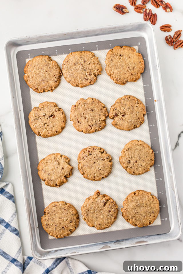 Overhead view of freshly baked pecan sandies on a baking sheet, golden brown and perfectly crisp.
