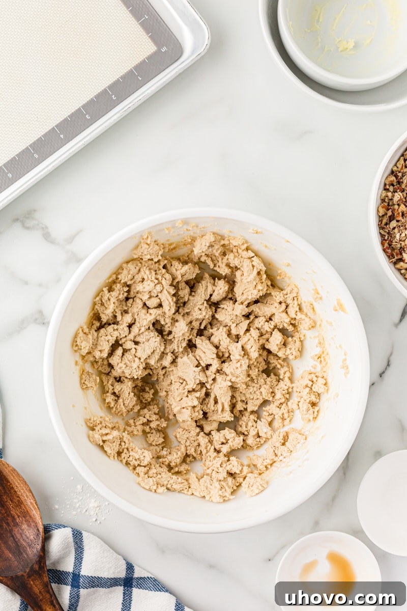 Overhead view of the shortbread dough for pecan sandies after flour has been mixed in, showing its crumbly texture.