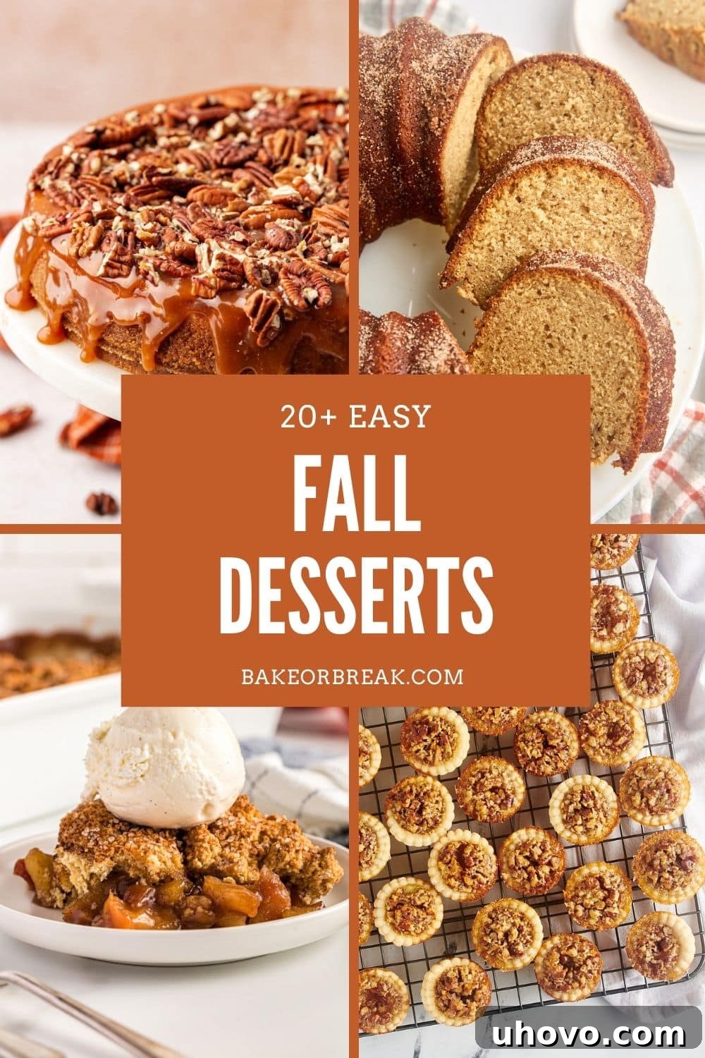 A vibrant collage showcasing an array of irresistible fall desserts: a rich salted caramel cheesecake, a festive apple cider donut cake, a comforting brown sugar apple cobbler, and delicate mini pecan pies. This image captures the essence and variety of cozy autumn baking, promising big flavors with simple steps for seasonal indulgence.