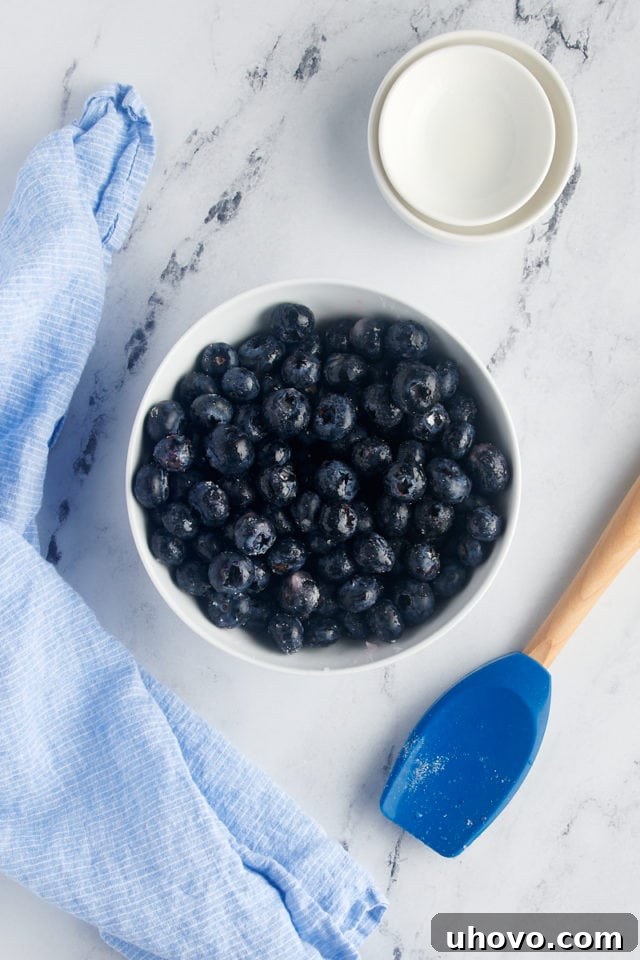 Overhead view of blueberries tossed with sugar and lemon juice, glistening in a bowl.
