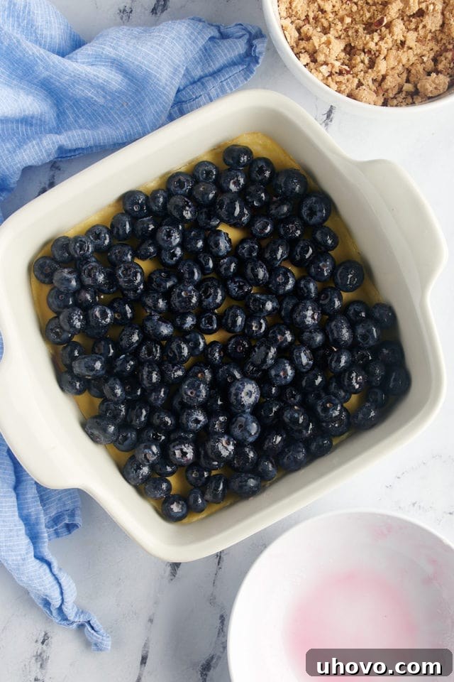 Overhead view of the blueberry mixture spooned over the cream cheese layer in the baking dish.